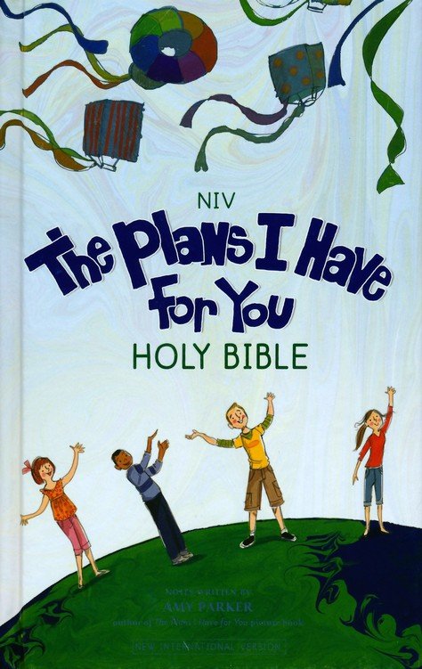 NIV THE PLANS I HAVE FOR YOU HOLY BIBLE-HARDCOVER