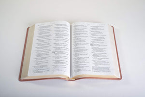 NLT Thinline Reference Holy Bible (Red Letter, LeatherLike, Brushed Pink) Leather