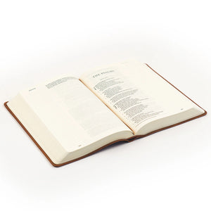 Sierra Theme LARGE Print - ESV Journaling Bible