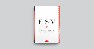 ESV Study Bible - Personal Size (Paperback)