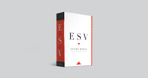 ESV Study Bible - Personal Size (Paperback)