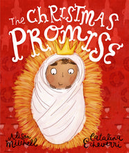 Load image into Gallery viewer, The Christmas Promise Storybook
