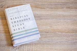 NIV, Biblical Theology Study Bible, Hardcover