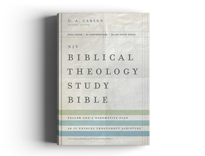 NIV, Biblical Theology Study Bible, Hardcover