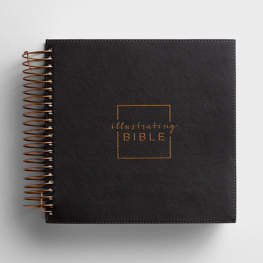 Illustrating Bible - NIV - Dark Gray